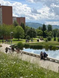 Luštěniny IX. - 8